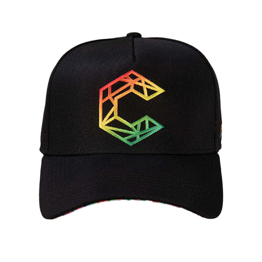 Hydrogen Dad Hat